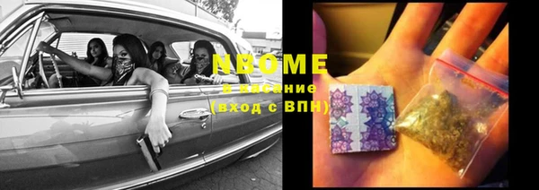 мдпв Елизово