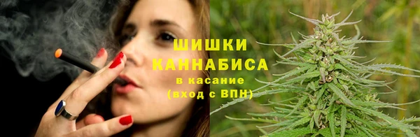 2c-b Ельня