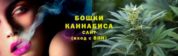 мдпв Елизово