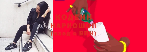 мдпв Елизово