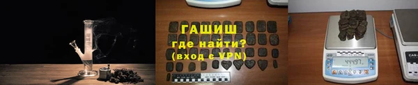 2c-b Ельня