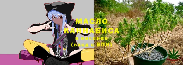 мдпв Елизово
