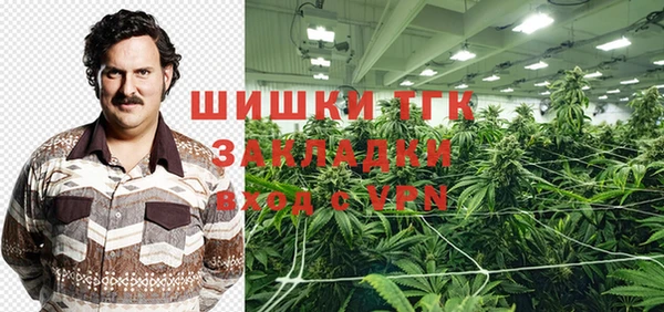 2c-b Ельня