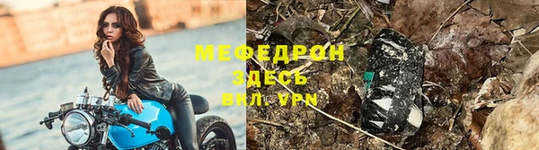 2c-b Ельня