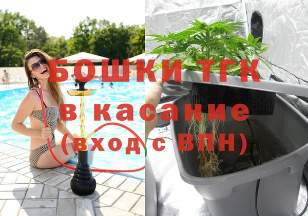 2c-b Ельня