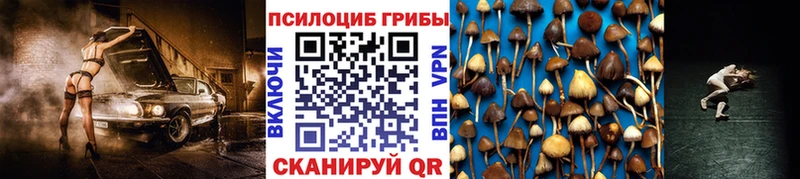 хочу   Ивантеевка  Псилоцибиновые грибы мухоморы 