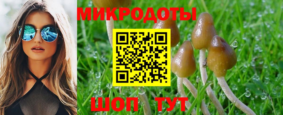 Галлюциногенные грибы Psilocybine cubensis Ивантеевка